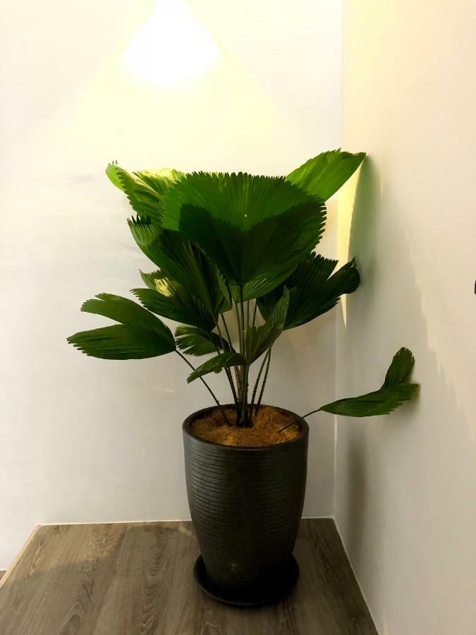 דירות Minimalist Duplex @ Petaling Jaya & Sunway מראה חיצוני תמונה